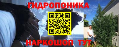 ГАЛЛЮЦИНОГЕННЫЕ ГРИБЫ Обь