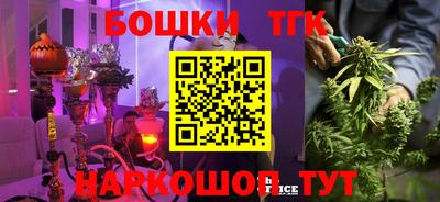 ГАЛЛЮЦИНОГЕННЫЕ ГРИБЫ Обь