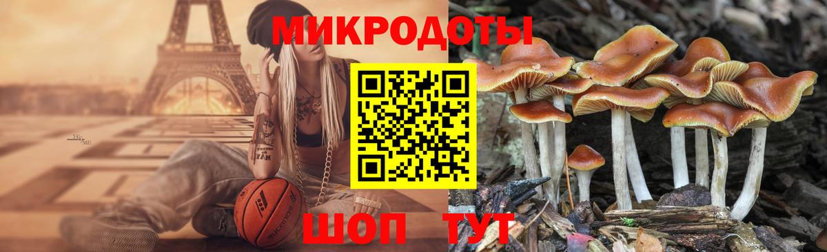 Псилоцибиновые грибы Cubensis  Вход с VPN  Ростов-на-Дону 